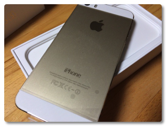 IPhone5sGold 4